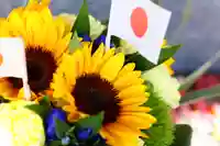 三津厳島神社の自然