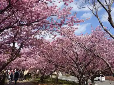 かっぱの寺 栖足寺(静岡県)