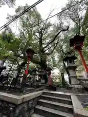 若一神社の末社