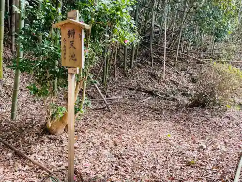 福照寺の{uncategorized: "未分類", other: "その他", undefined: "問題あり", building: "その他建物", grave: "お墓", sacred_gate: "鳥居", guardian: "狛犬", statue: "像", buddha: "仏像", history: "歴史", nature: "自然", garden: "庭園", animal: "動物", pagoda: "塔", temizu: "手水舎", mountain_gate: "山門・神門", sanctuary: "本殿・本堂", subordinate: "末社・摂社", art: "芸術", scenery: "景色", jizo: "地蔵", ema: "絵馬", goshuin: "御朱印", omikuji: "おみくじ", items: "授与品その他", amulet: "お守り", goshuincho: "御朱印帳", eats: "食事", festival: "お祭り", votive_dance: "神楽", shichigosan: "七五三参", wedding: "結婚式", experience: "体験その他", initially: "初詣", around: "周辺", anti_infection: "感染症対策"}