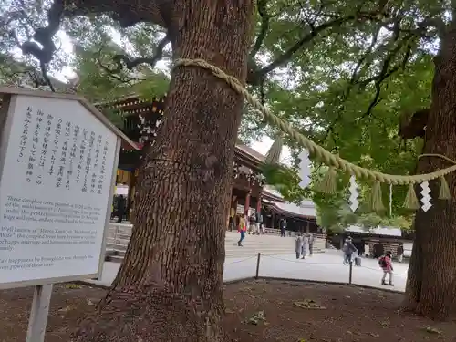 明治神宮の自然