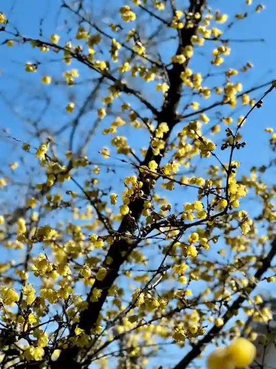 大蓮寺(京都府)