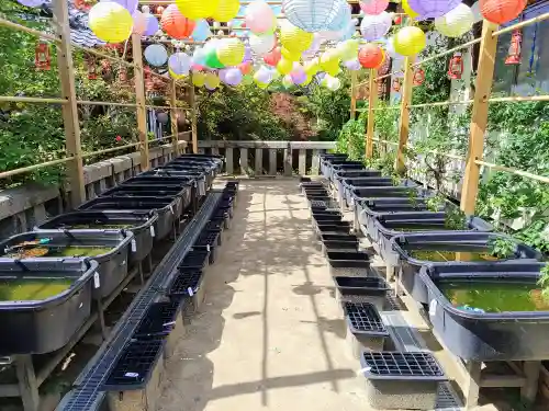 おふさ観音（観音寺）の動物