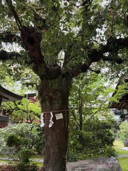 三篠神社の{uncategorized: "未分類", other: "その他", undefined: "問題あり", building: "その他建物", grave: "お墓", sacred_gate: "鳥居", guardian: "狛犬", statue: "像", buddha: "仏像", history: "歴史", nature: "自然", garden: "庭園", animal: "動物", pagoda: "塔", temizu: "手水舎", mountain_gate: "山門・神門", sanctuary: "本殿・本堂", subordinate: "末社・摂社", art: "芸術", scenery: "景色", jizo: "地蔵", ema: "絵馬", goshuin: "御朱印", omikuji: "おみくじ", items: "授与品その他", amulet: "お守り", goshuincho: "御朱印帳", eats: "食事", festival: "お祭り", votive_dance: "神楽", shichigosan: "七五三参", wedding: "結婚式", experience: "体験その他", initially: "初詣", around: "周辺", anti_infection: "感染症対策"}