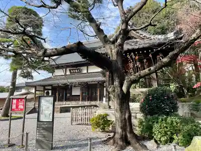 瑞聖寺(東京都)