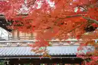 功山寺(山口県)