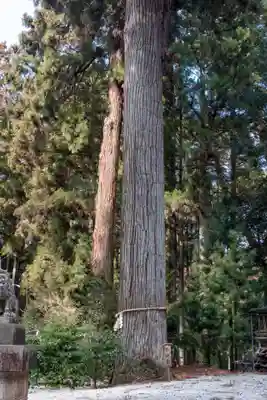 熱日高彦神社(宮城県)