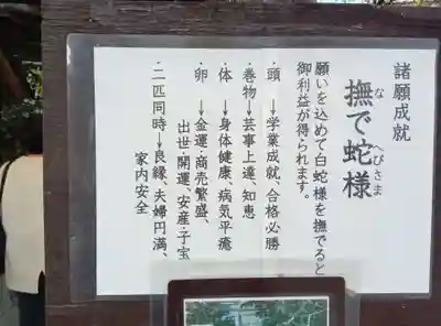 川越熊野神社の歴史