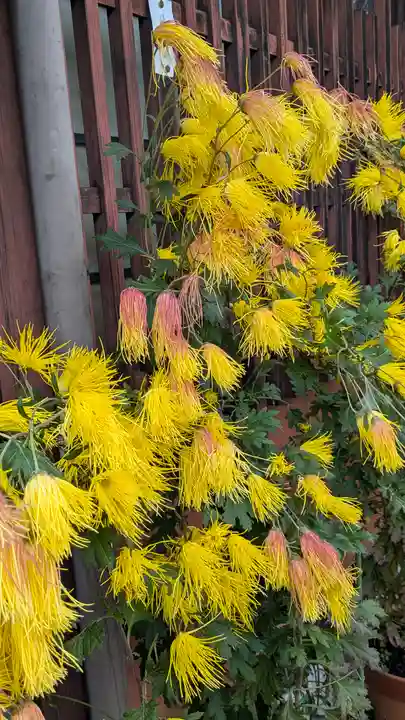 三千院門跡(京都府)