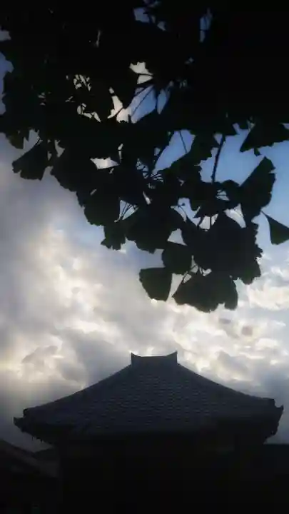 菩提寺のその他建物