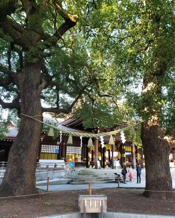 明治神宮の本殿・本堂