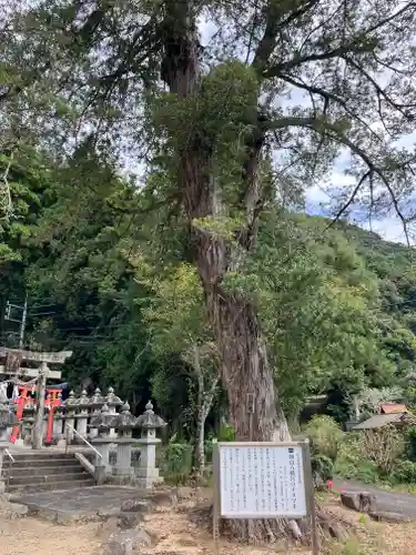 朝倉八幡宮(山口県)