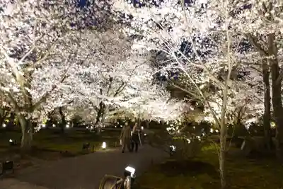東寺（教王護国寺）(京都府)