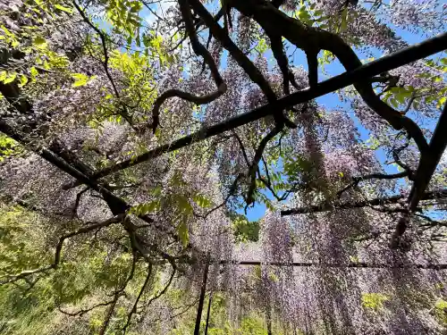 天台宗 五大山 白毫寺(兵庫県)