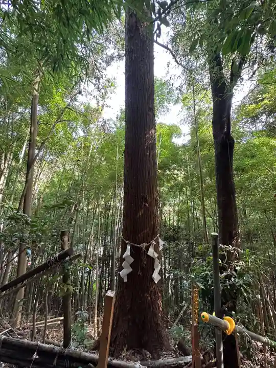 高尾山麓氷川神社(東京都)