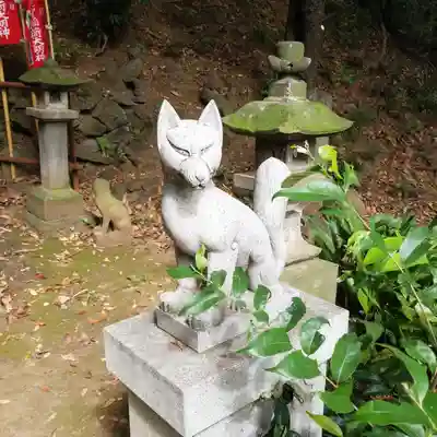 円山随身稲荷大明神の狛犬