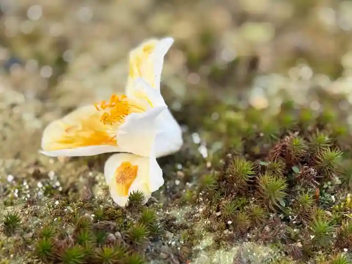 西方山極楽寺(岐阜県)