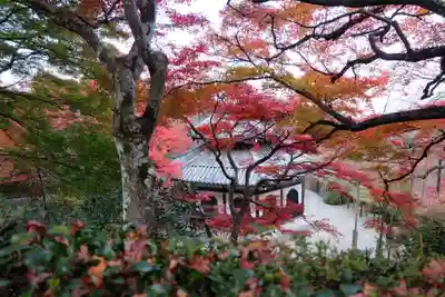 善峯寺(京都府)