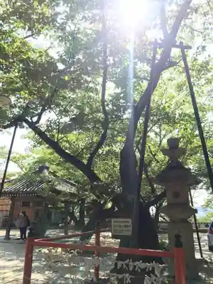 金剛宝寺（紀三井寺）のその他建物