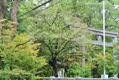 寒川神社(神奈川県)