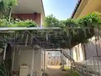 藤之寺(兵庫県)