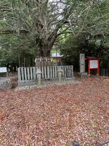 熊野速玉大社(和歌山県)