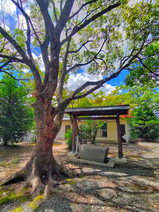 神明社(深沢)の手水舎