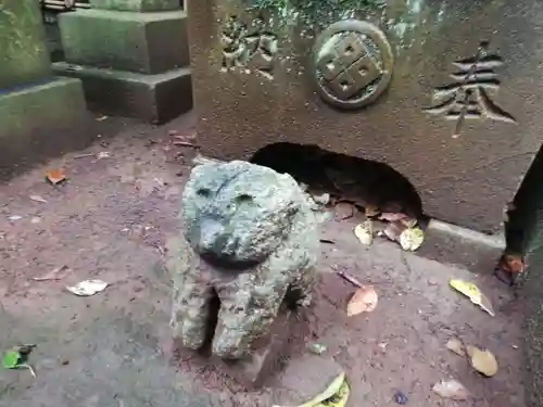 渋谷氷川神社の狛犬