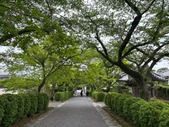 西教寺の{uncategorized: "未分類", other: "その他", undefined: "問題あり", building: "その他建物", grave: "お墓", sacred_gate: "鳥居", guardian: "狛犬", statue: "像", buddha: "仏像", history: "歴史", nature: "自然", garden: "庭園", animal: "動物", pagoda: "塔", temizu: "手水舎", mountain_gate: "山門・神門", sanctuary: "本殿・本堂", subordinate: "末社・摂社", art: "芸術", scenery: "景色", jizo: "地蔵", ema: "絵馬", goshuin: "御朱印", omikuji: "おみくじ", items: "授与品その他", amulet: "お守り", goshuincho: "御朱印帳", eats: "食事", festival: "お祭り", votive_dance: "神楽", shichigosan: "七五三参", wedding: "結婚式", experience: "体験その他", initially: "初詣", around: "周辺", anti_infection: "感染症対策"}