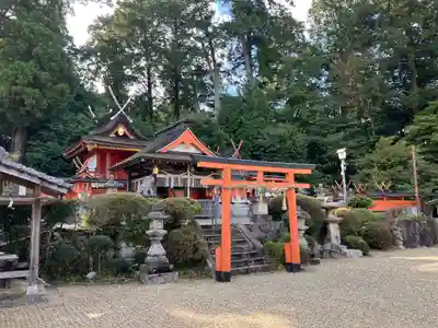 長尾神社の本殿・本堂