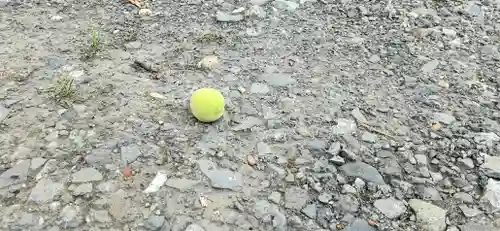 くまくま神社(導きの社 熊野町熊野神社)の自然