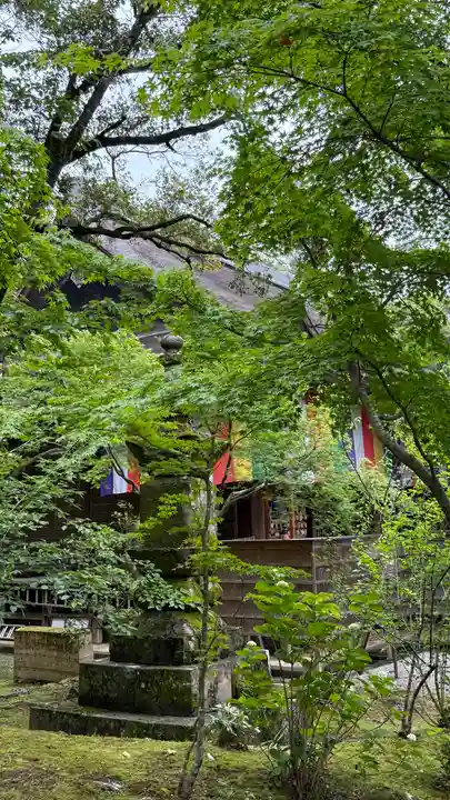 竹林寺(高知県)