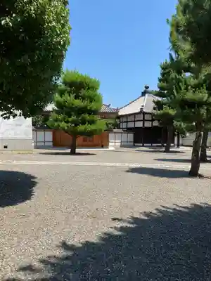 上善寺(京都府)