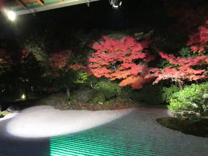 圓徳院のお祭り