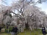 足羽神社(福井県)