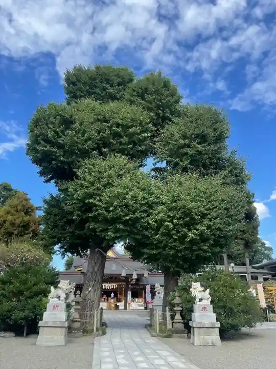 亀ケ池八幡宮のその他建物
