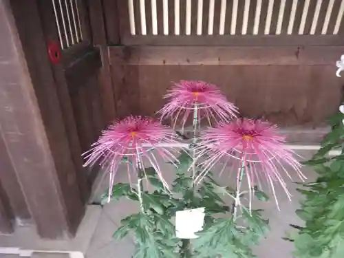 寒川神社(神奈川県)