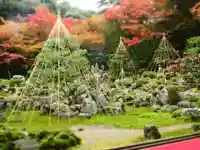 吸湖山 青岸寺の庭園