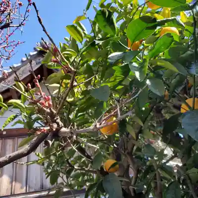 先宮神社の自然