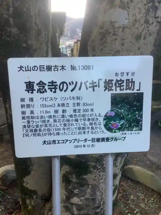 専念寺(愛知県)