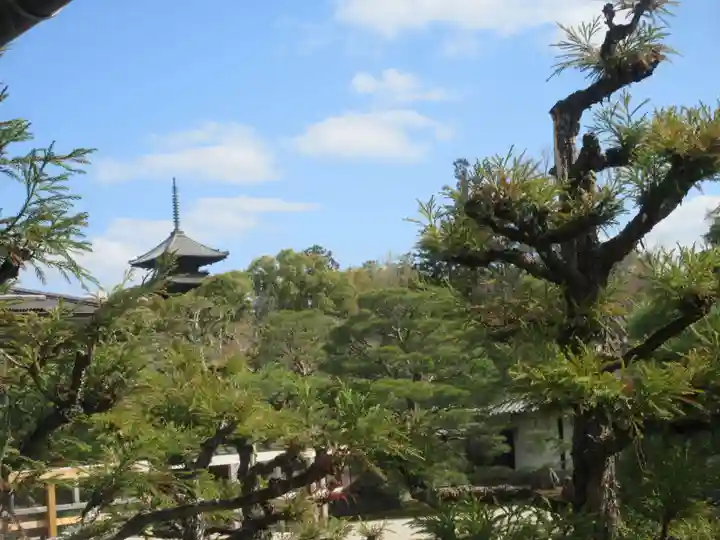 仁和寺(京都府)