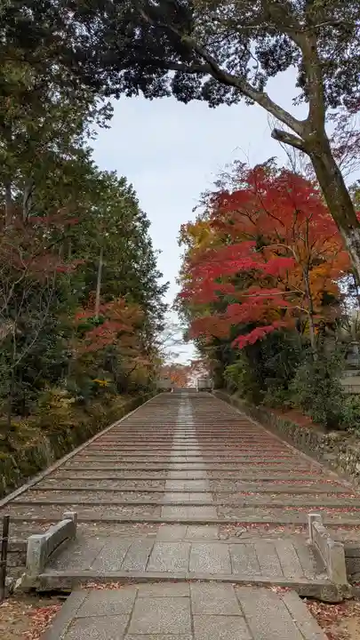 光明寺(粟生光明寺)(京都府)