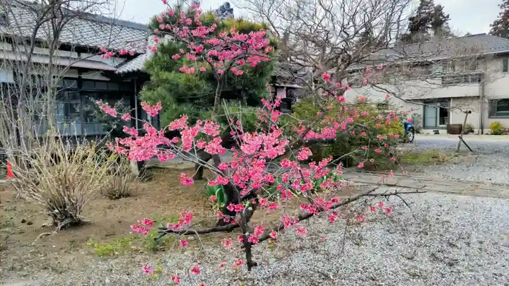 長良神社(群馬県)