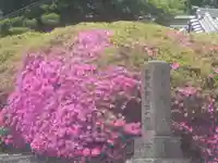 安養院 (田代寺)の自然