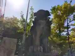 東神奈川熊野神社の狛犬