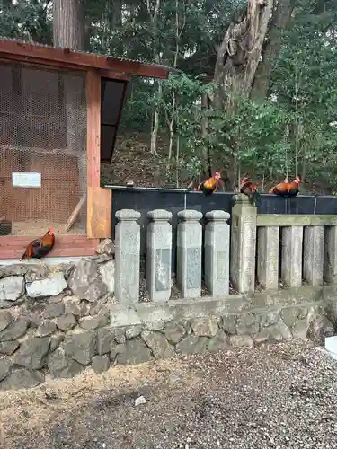 大甕神社(茨城県)