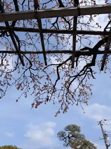 長善寺(東京都)