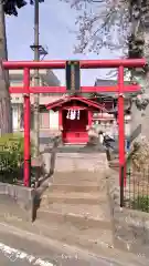 関根神社の鳥居