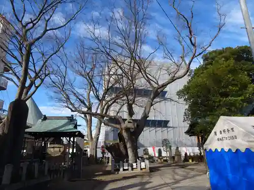 阿邪訶根神社(福島県)