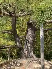 尾上神社の歴史